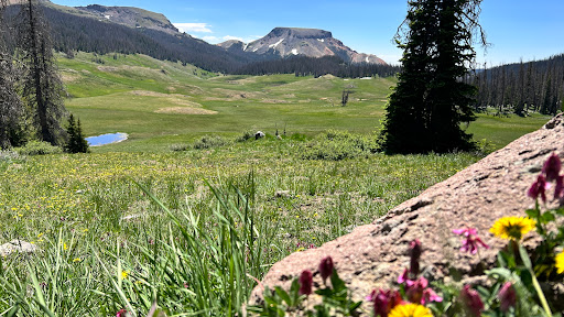 South Fork Visitor Center - Thumbnail