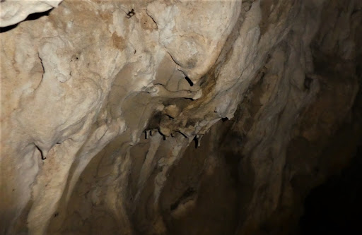 Forán des Aganis - Thumbnail