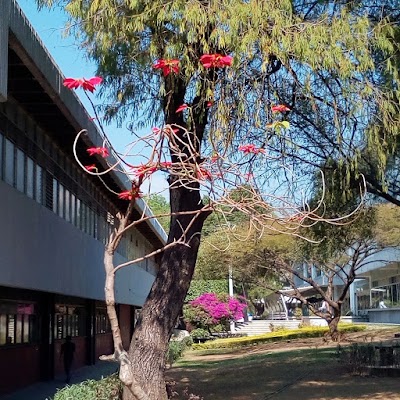 school