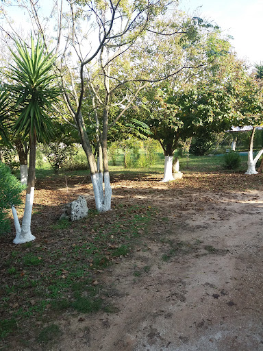 Shivananda Garden - Visual