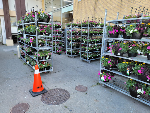 Sobeys Glace Bay - Thumbnail