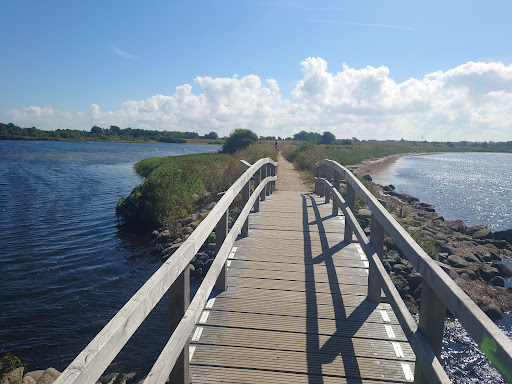 The little lagoon