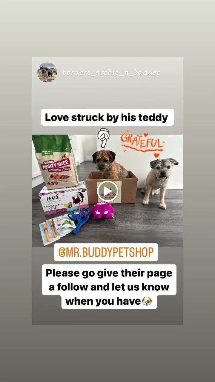 Mr Buddy Pet Shop Limited photo 3