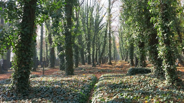 New Jewish Cemetery