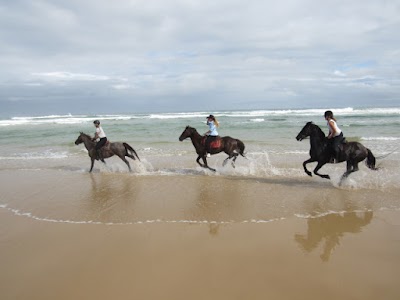 Photos of Beachcomber Horse Trails