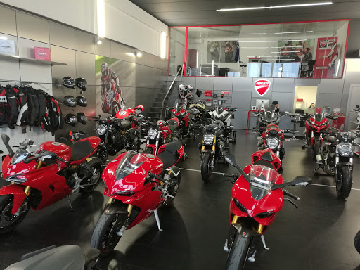 Ducati Lecce - Visual