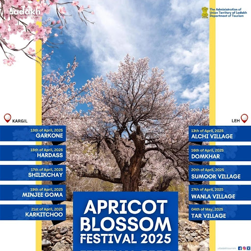 Kargil blooms into a breathtaking wonderland from late March to mid-April as apricot trees cover… post image