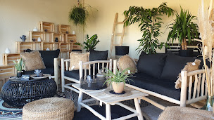 Photo n°19 de Jardinerie Roubaud à Marseille (Pépinière)