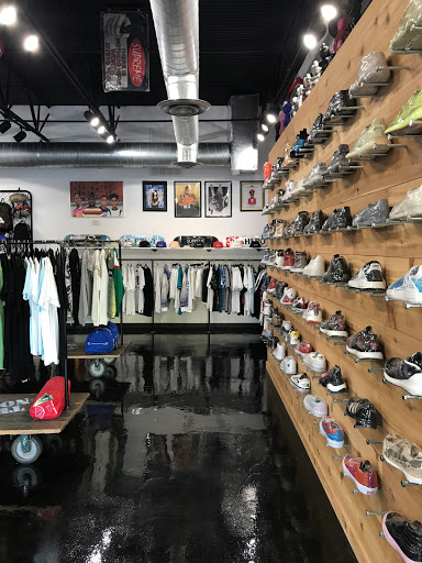 True North SA - Visual