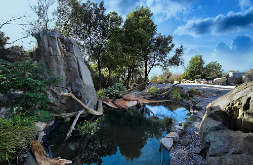Sito Paleontologico Villaggio del Pescatore - Thumbnail