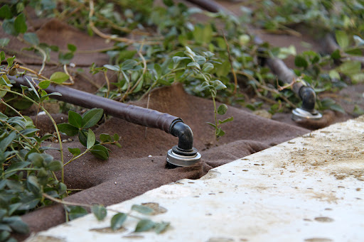 E-Gardening - Thumbnail
