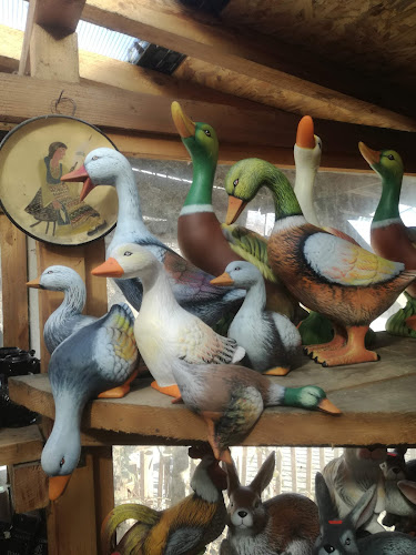 Comentarii opinii despre Грънчарница Троян