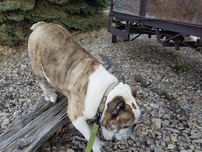 Tooele Veterinary Clinic