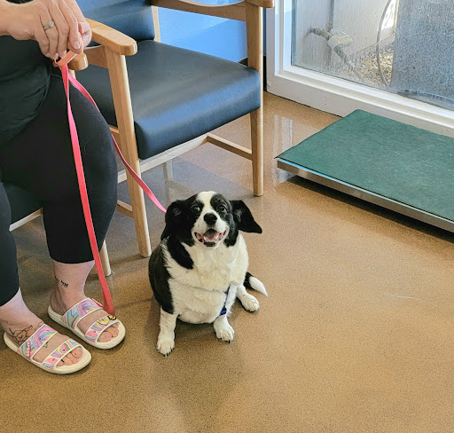 Riverwood Veterinary Hospital - Thumbnail