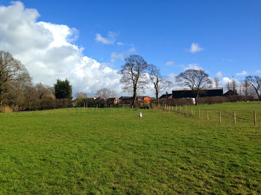 Bacchus Fold Residential - Thumbnail