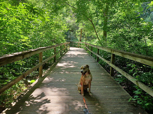 Greensboro Botanical Gardens - Thumbnail