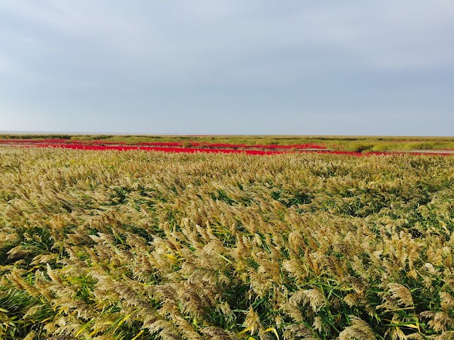 Red Beach National Landscape Gallery