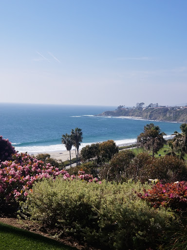 Ritz Carlton