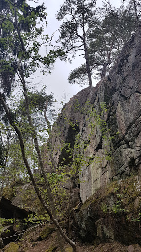 Södra Törnskogen - Thumbnail