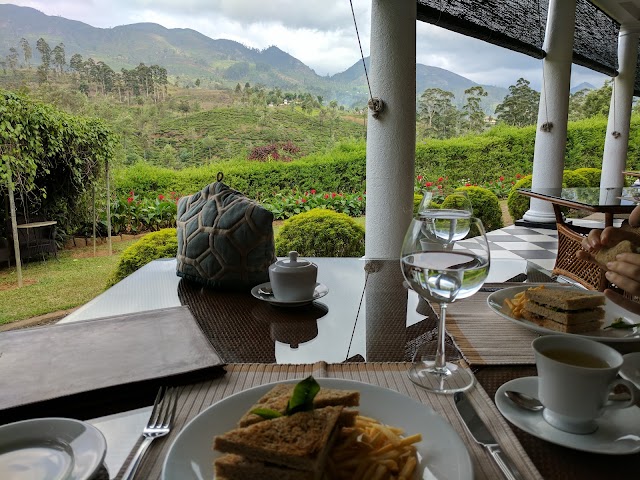 Ceylon Tea Trails - Tientsin Bungalow