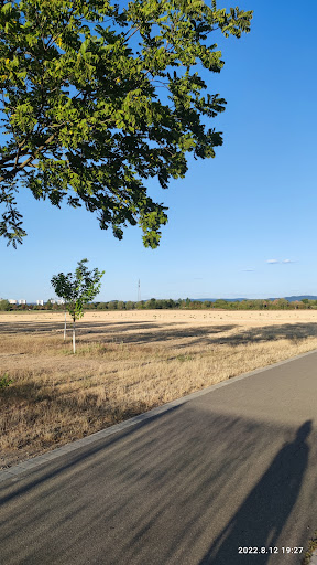 Feudenheimer Bürger Park - Thumbnail