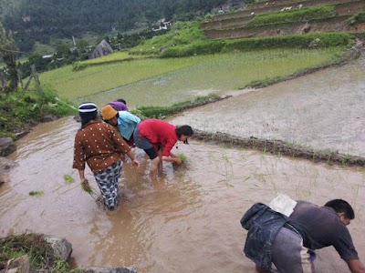 photo of Sonamzangpo Freelance Service,བསོད་ནམས་བཟང་པོ།