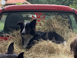 Photo n°19 de L'Equit de Lulu à Sarbazan (Service de tours de poneys)
