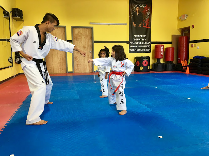 YK Martial Arts - taekwondo in Naperville, Illinois