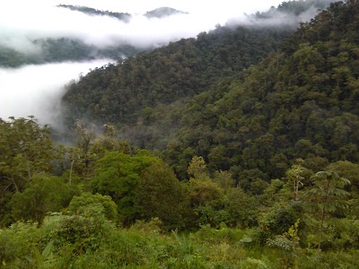 Photos of Monte Cavernas Costa Rica
