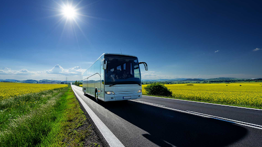 Photo de Selectour - V Comme Voyages à Corné (49630)