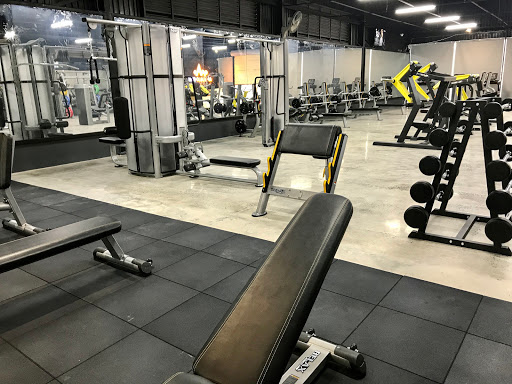 Apollo Gym - Phòng Tập Gym Quảng Trị