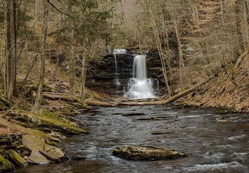 Sheldon Reynolds Waterfall