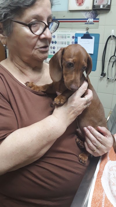 Photos of Clinica Veterinaria Curupayti