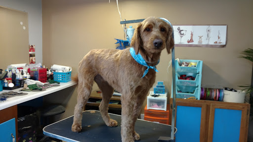 Fluffy Puppy Salon Gallery - United States