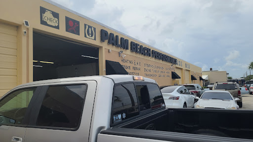 Palm Beach Performance - Visual