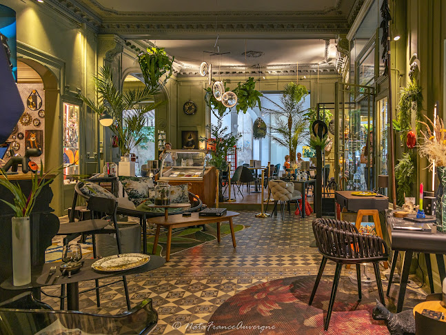 Opinii despre EDOUARD în Vichy - Architecte d'intérieur