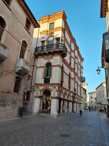 Cenerino - Visual