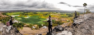 Photos of Palindi Pinulaileo