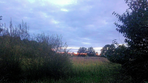 Lehnershügel - Thumbnail
