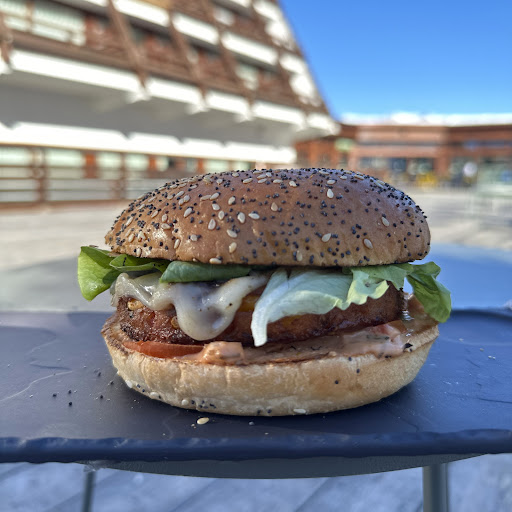 Photo 5 - Le Snowdwich