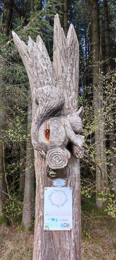 Craik Forest Upper Car Park