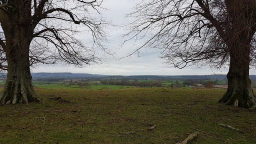 Whitcliff Park