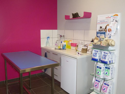 Veterinary Clinic Drs Jouis Hadjaz and Melle - Thumbnail