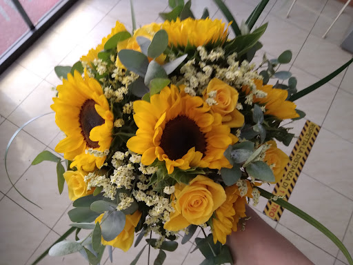 Vally Fleurs Di Barioni Silvia - Thumbnail