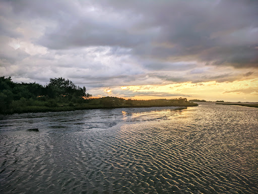 Shell Mound Campground - Visual