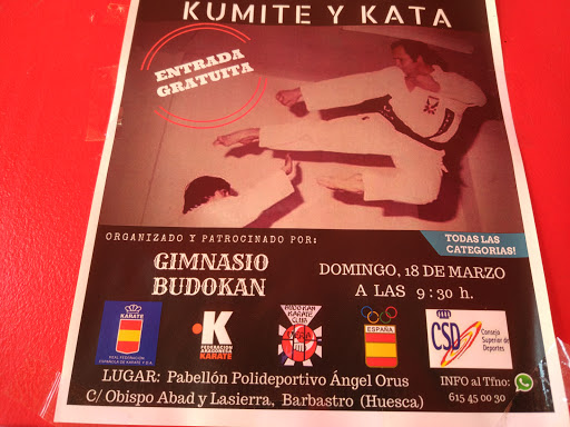 Gimnasio Budokan - Thumbnail