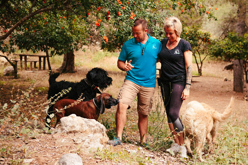 Natural-Dogs Educación Natural Canina y Residencia Canina