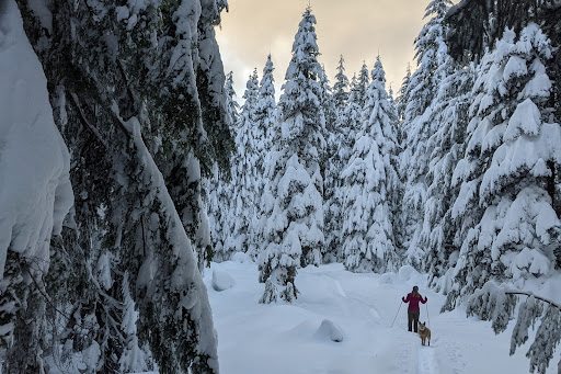 Sno-Park: Marble Mountain - Thumbnail