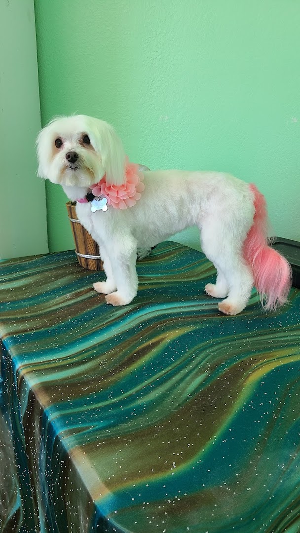A Gentle Touch Grooming LLC