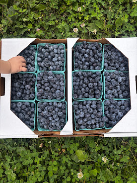 Steelbow Farm by null